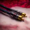 Twee RU connected RCA-stekkers tegen een rode achtergrond.