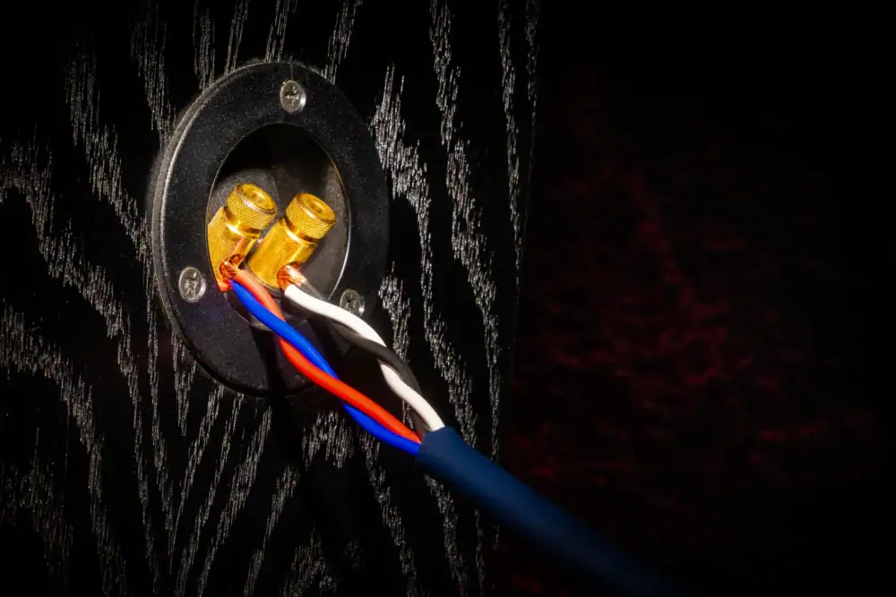 ru-connected-speakerkabel-single-wire-speaker-20260924 Speakerkabel aan een speaker: rood en blauw in elkaar gedraaid op de ene aansluiting, wit en zwart op de andere.